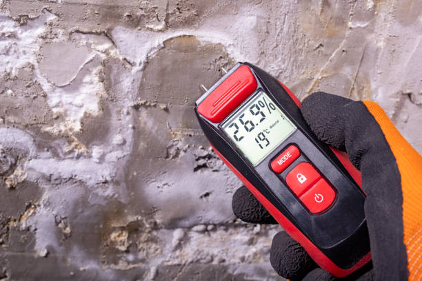 Trusted Bell Acres, PA Mold Removal Experts