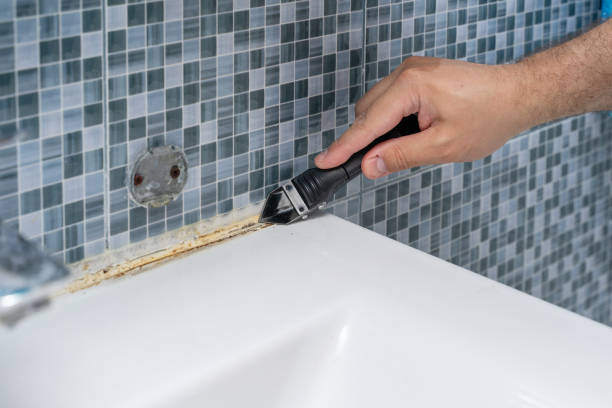 Best Best Mold Removal Companies  in Bell Acres, PA